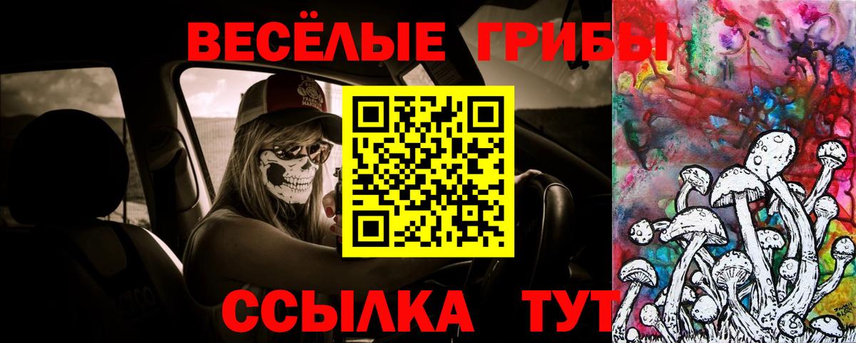 Псилоцибиновые грибы мухоморы  Вход с VPN  Волгоград 