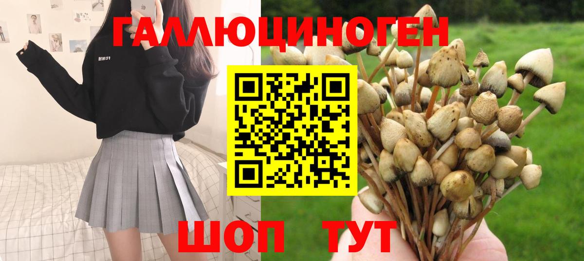 Псилоцибиновые грибы мицелий Волгоград